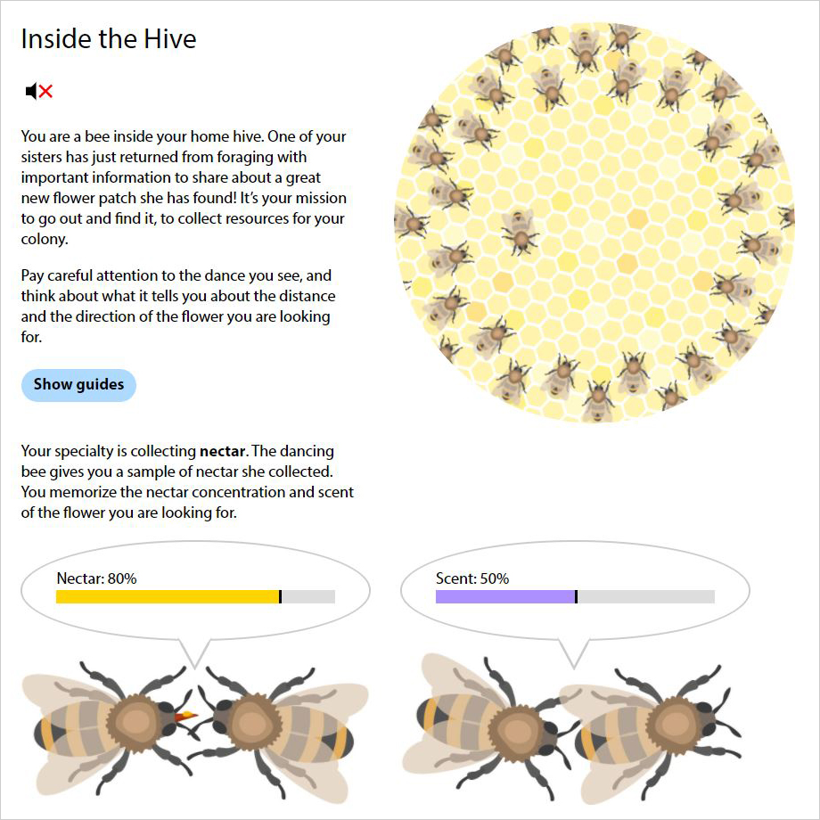 Bee Dance Deviche Designs