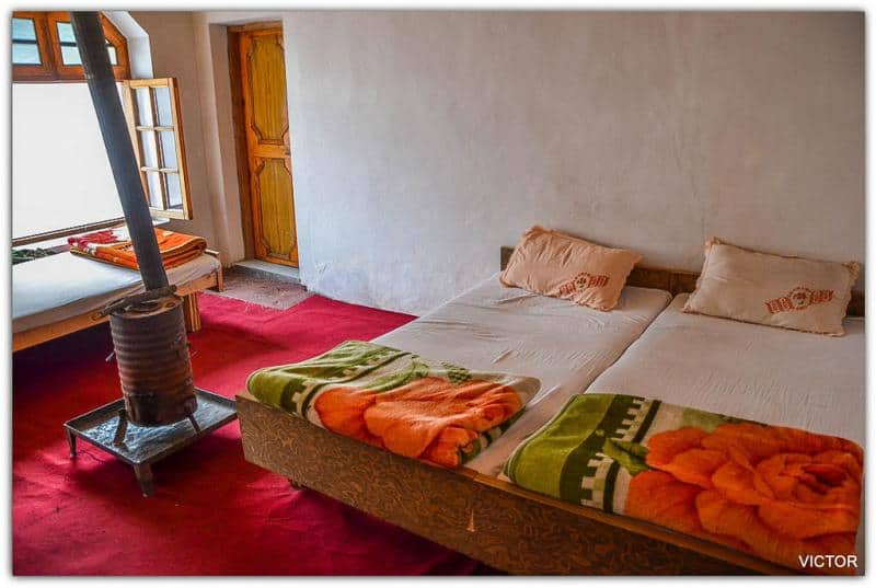 Habib Guest House Hunder, Nubra Valley Detailed Review