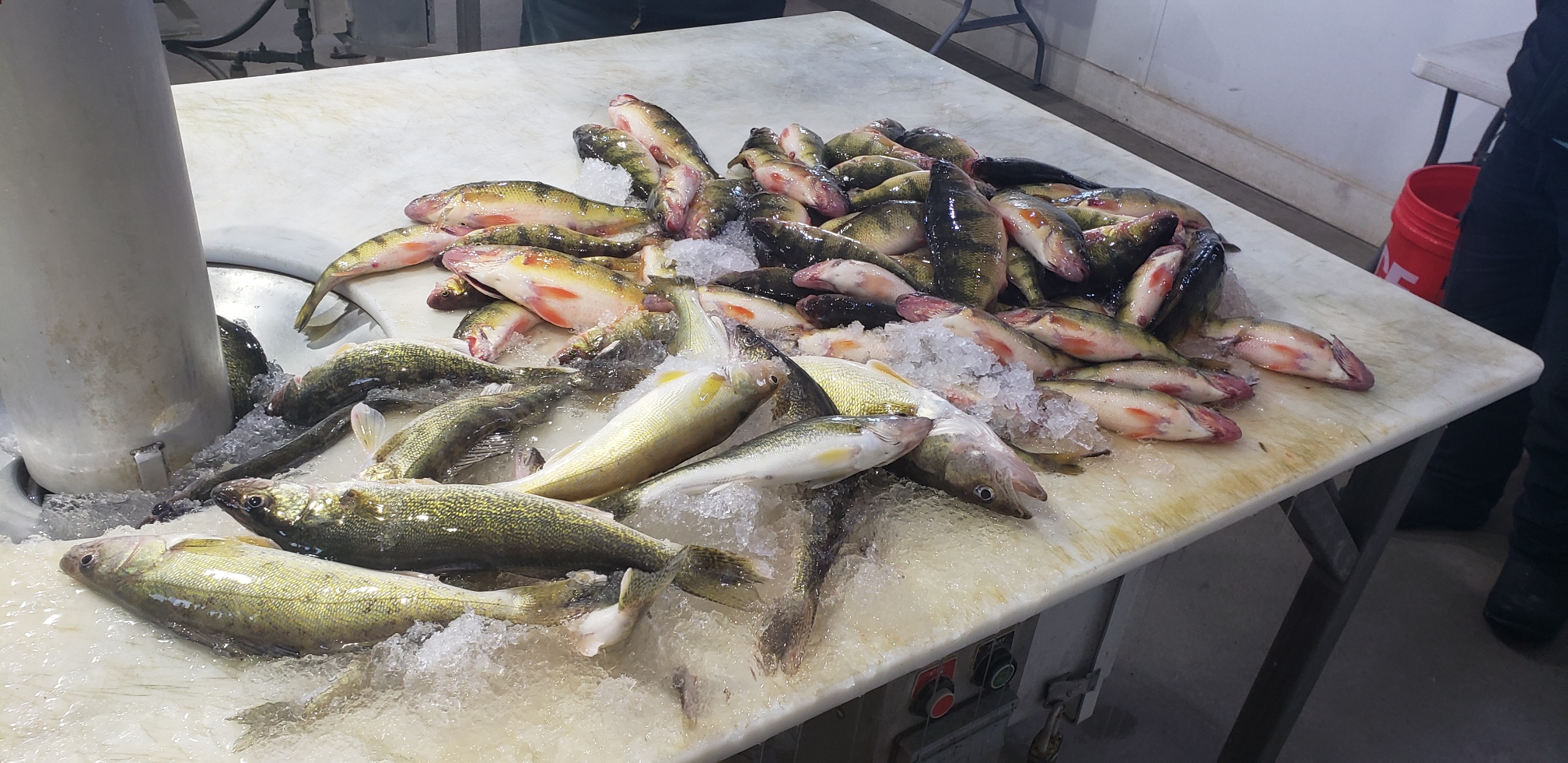 Monday Weekly Fishing Report January 16th, 2023!! Devils Lake