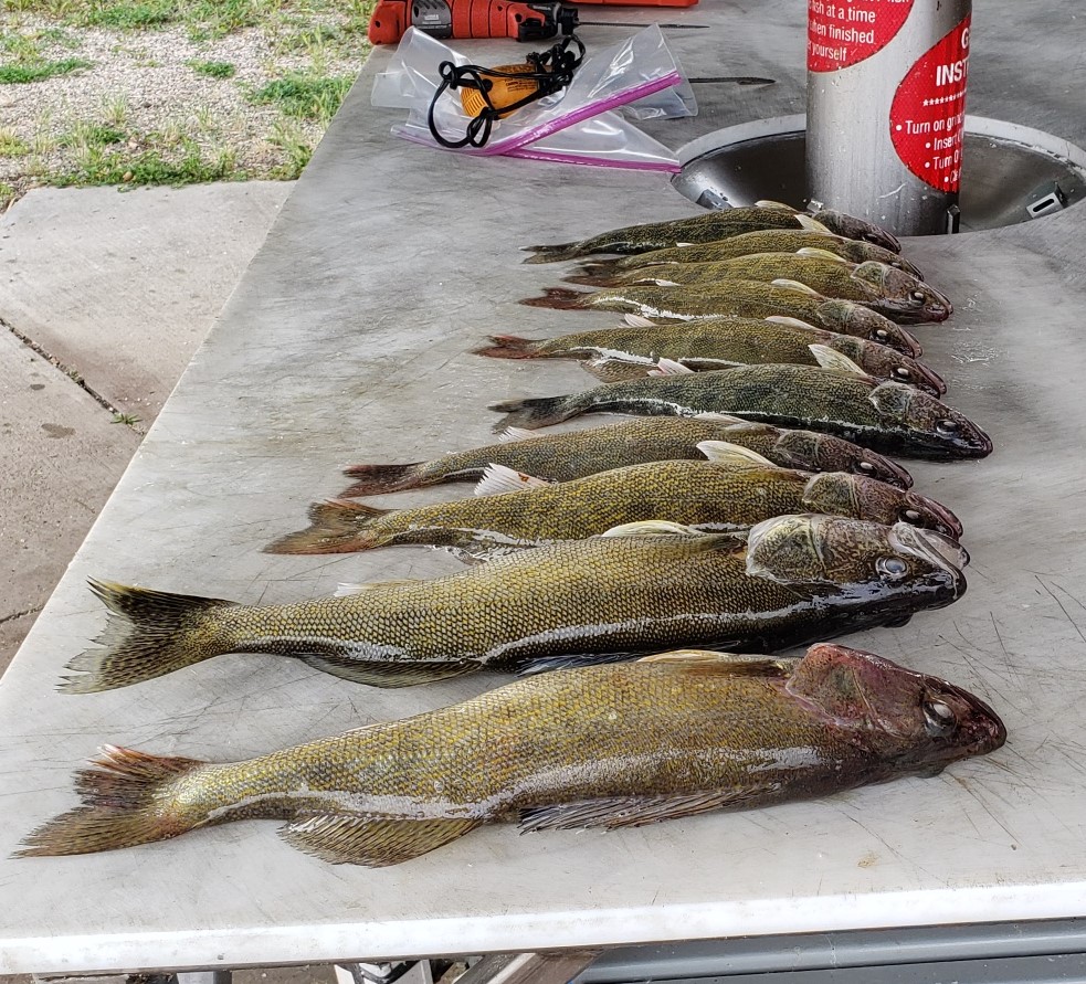 Just HAD To Go!! Devils Lake Fishing Report