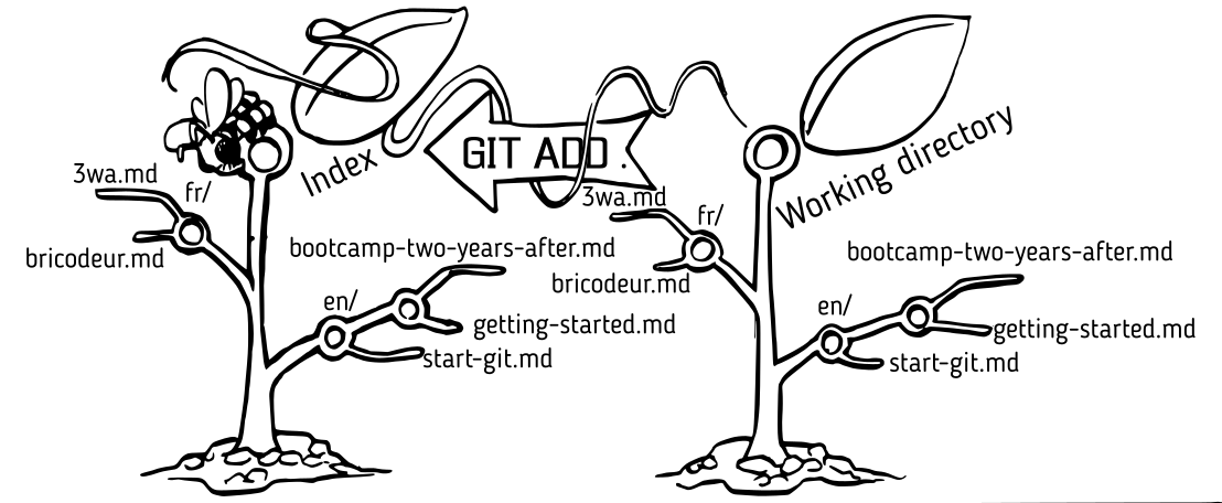 Commencer à tout versionner avec Git Dev In Details