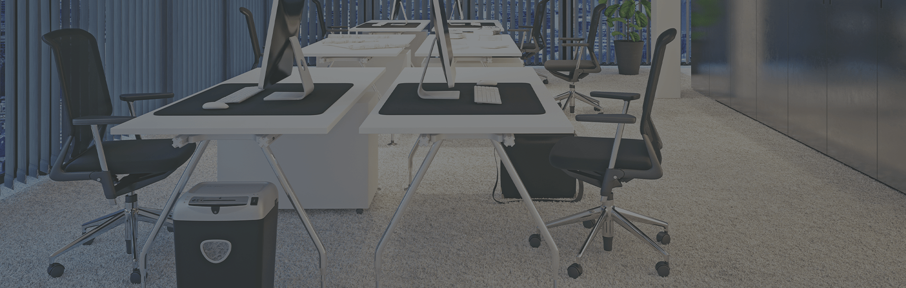 Devine Cleaning Commercial Carpet Cleaning Sydney