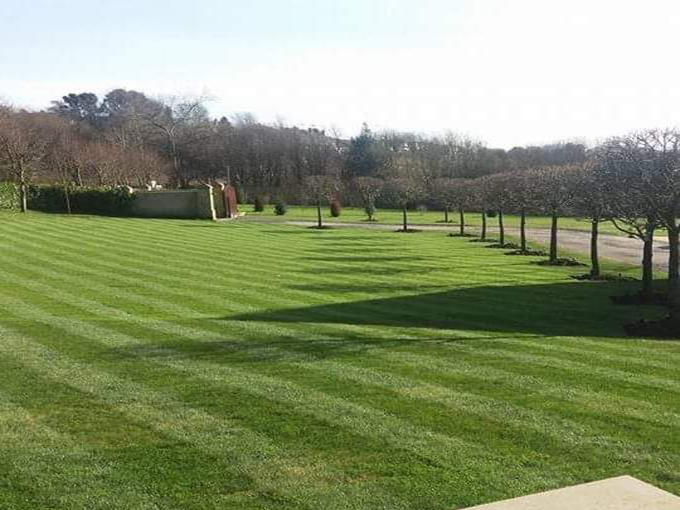 Gallery Lawn Care Specialist