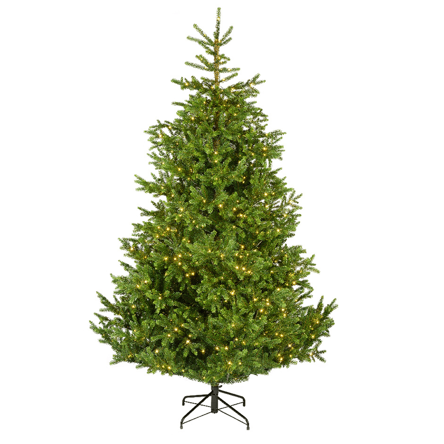 Real Christmas Trees for sale in Devizes Devises Christmas Trees