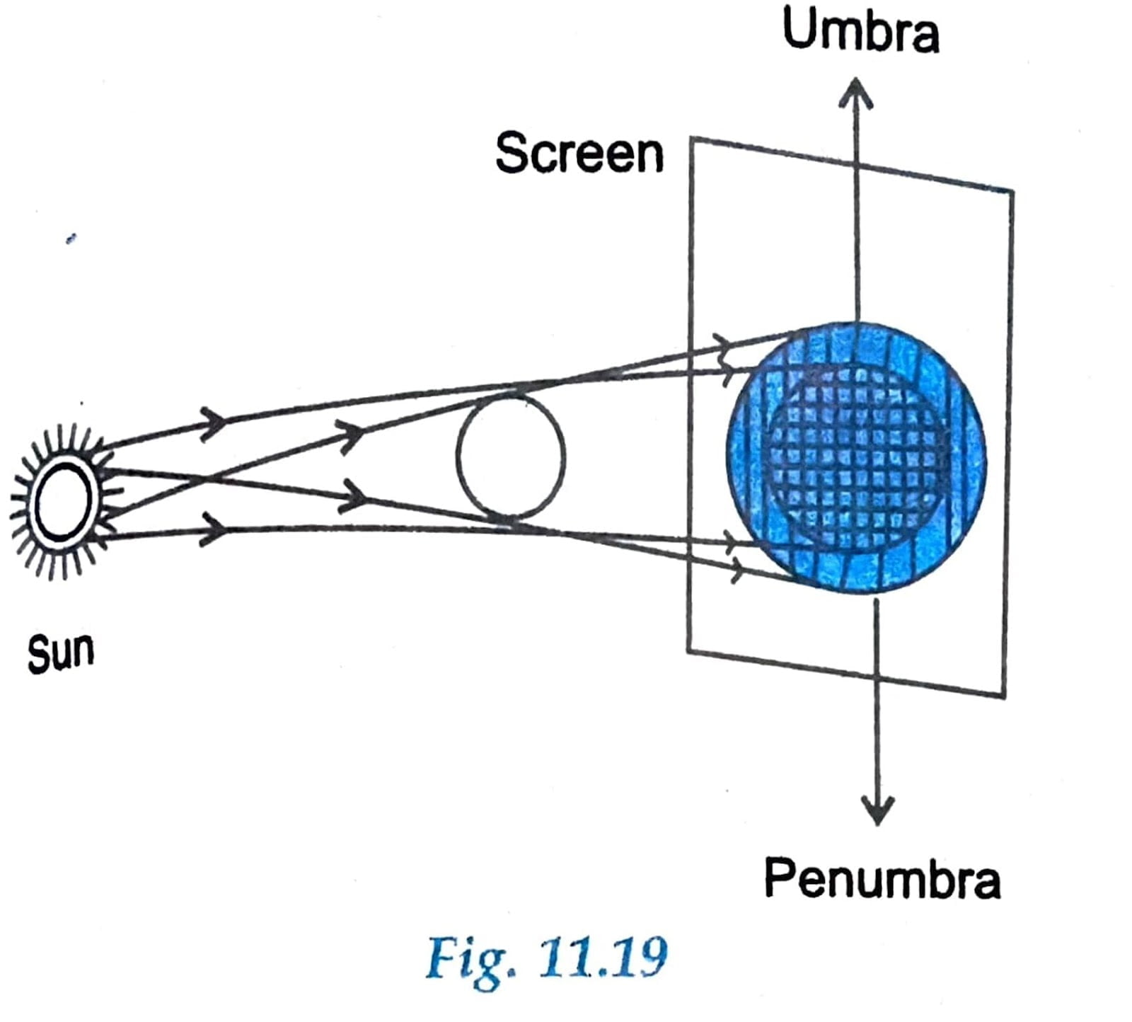 NCERT Class 6 Science Chapter 11 Light, Shadows and Reflections of