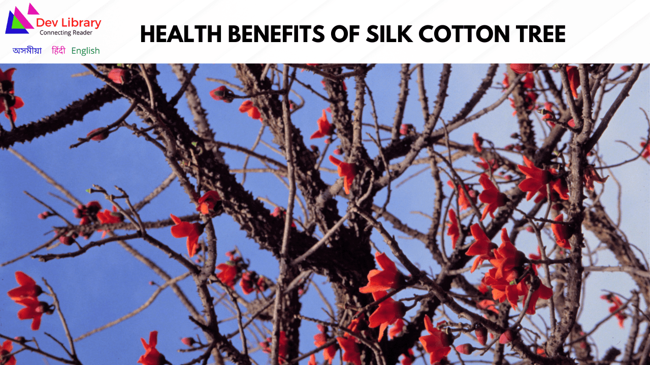 Health Benefits of Silk Cotton tree শিমলুৰ উপকাৰিতা Dev Library