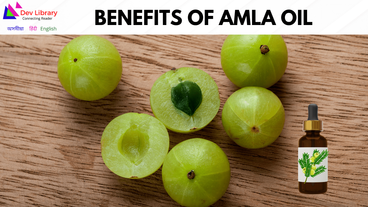 Benefits of Amla Oil আমলখি তেলৰ উপকাৰিতা Dev Library