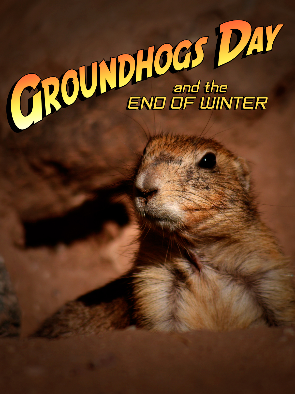 Devlin Donnelly Design Happy Groundhogs Day!