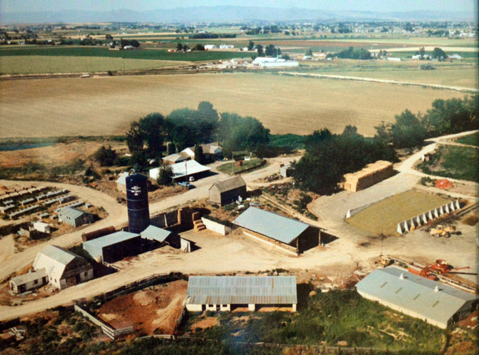 Devlin Donnelly Design Happy Quasquicentennial Idaho!