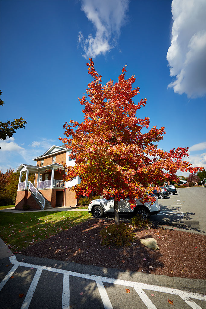 Image Gallery Located in Allison Park, PA Hampton