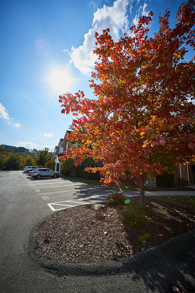 Image Gallery Located in Allison Park, PA Hampton