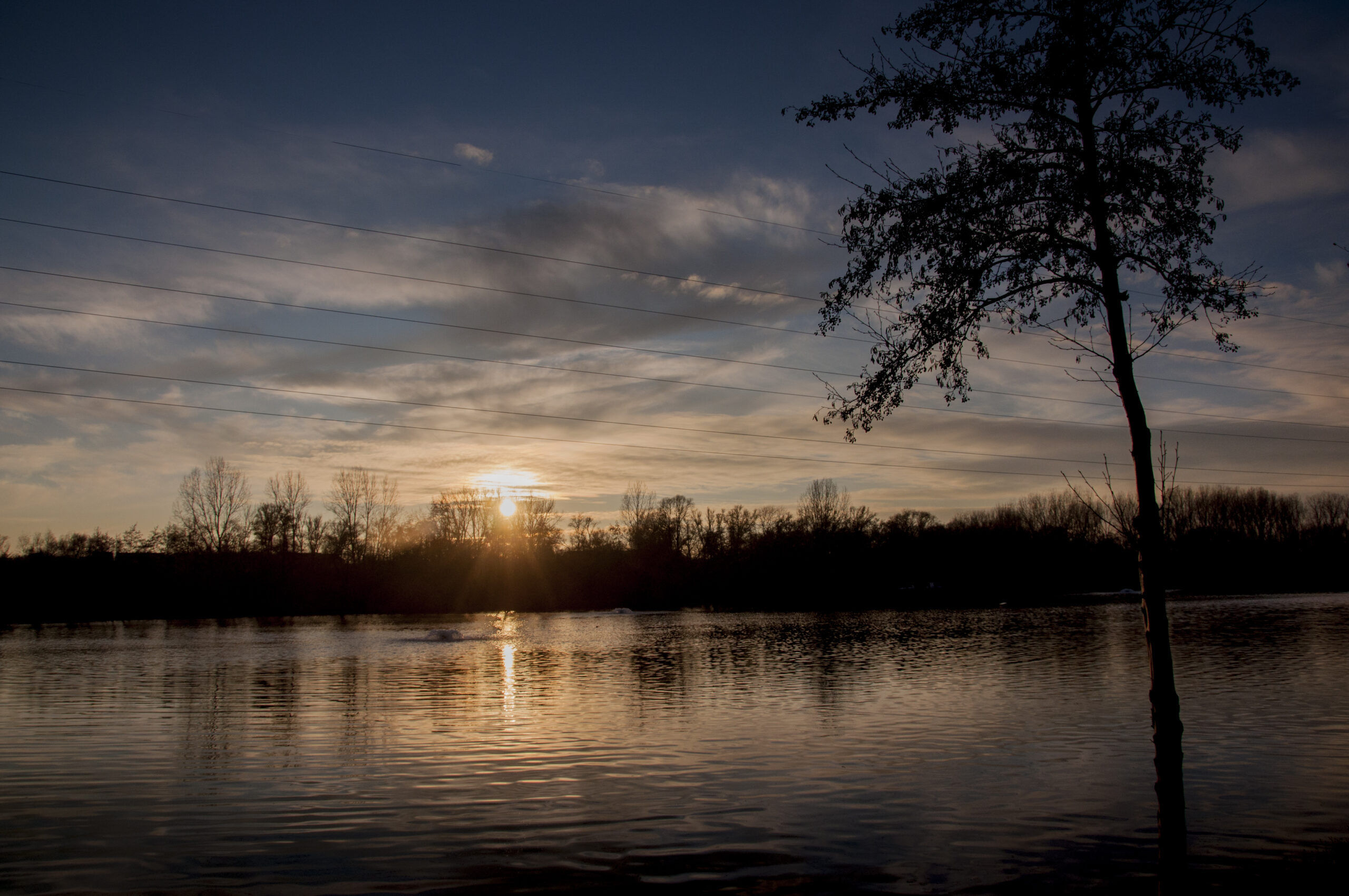 Etangs de StrépyBracquegnies