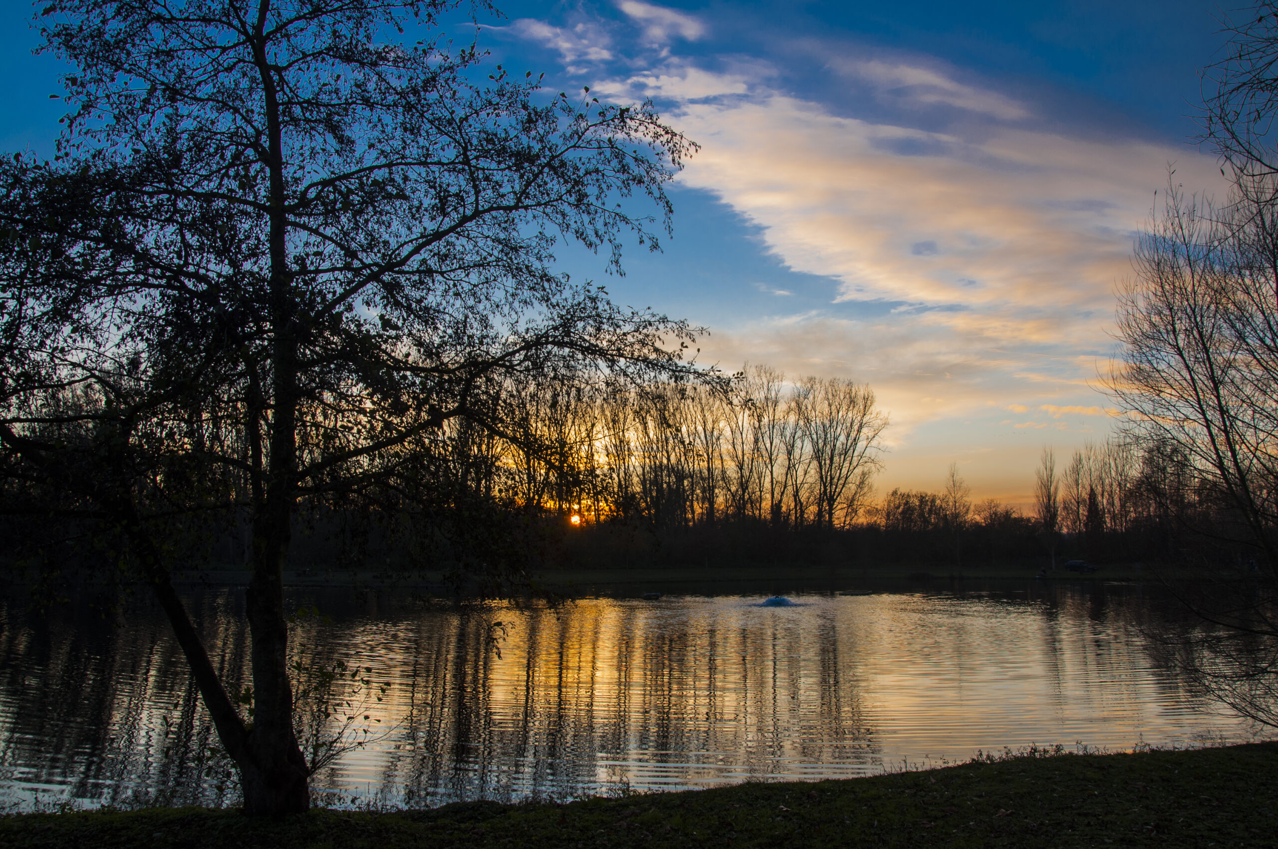 Etangs de StrépyBracquegnies