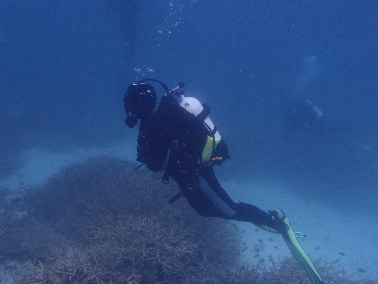 Learn to Dive Gold Coast South East Queensland Scuba Diving, we’ve