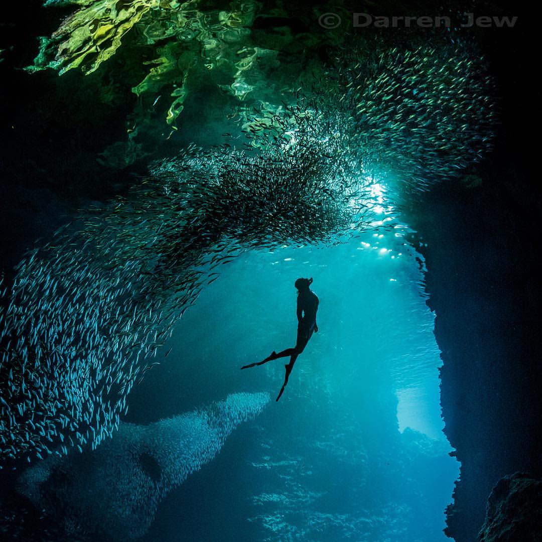 Learn to Dive Gold Coast Underwater Photography Courses