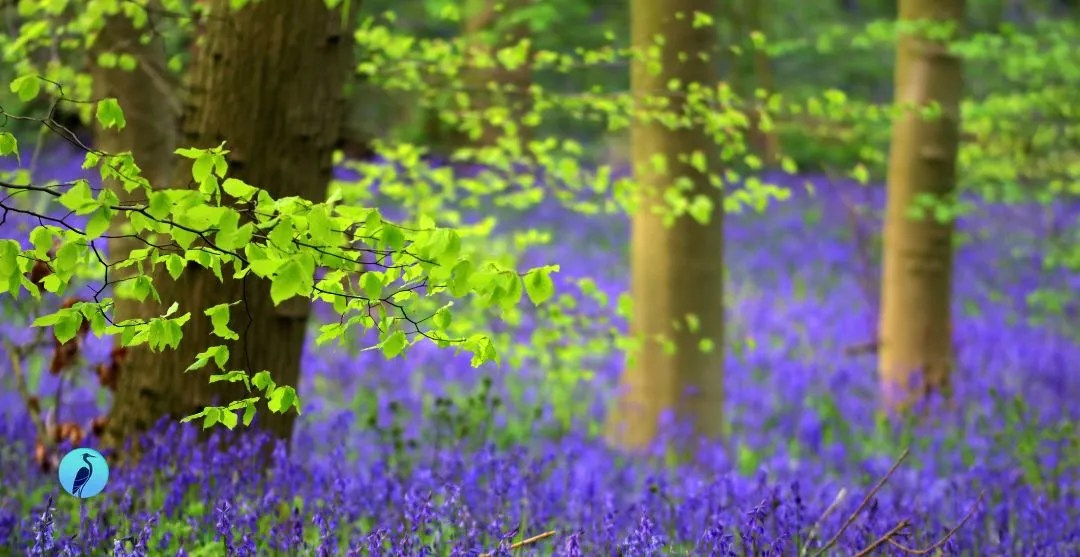 A wellness break in Devon staying at our Roadford Lake Lodges