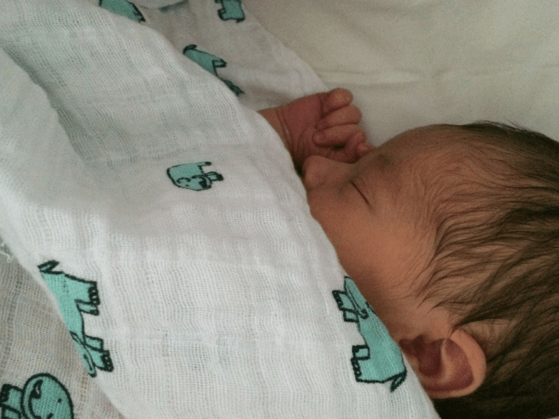 Review Aden + Anais Muslin Swaddle Blankets DEVON MAMA