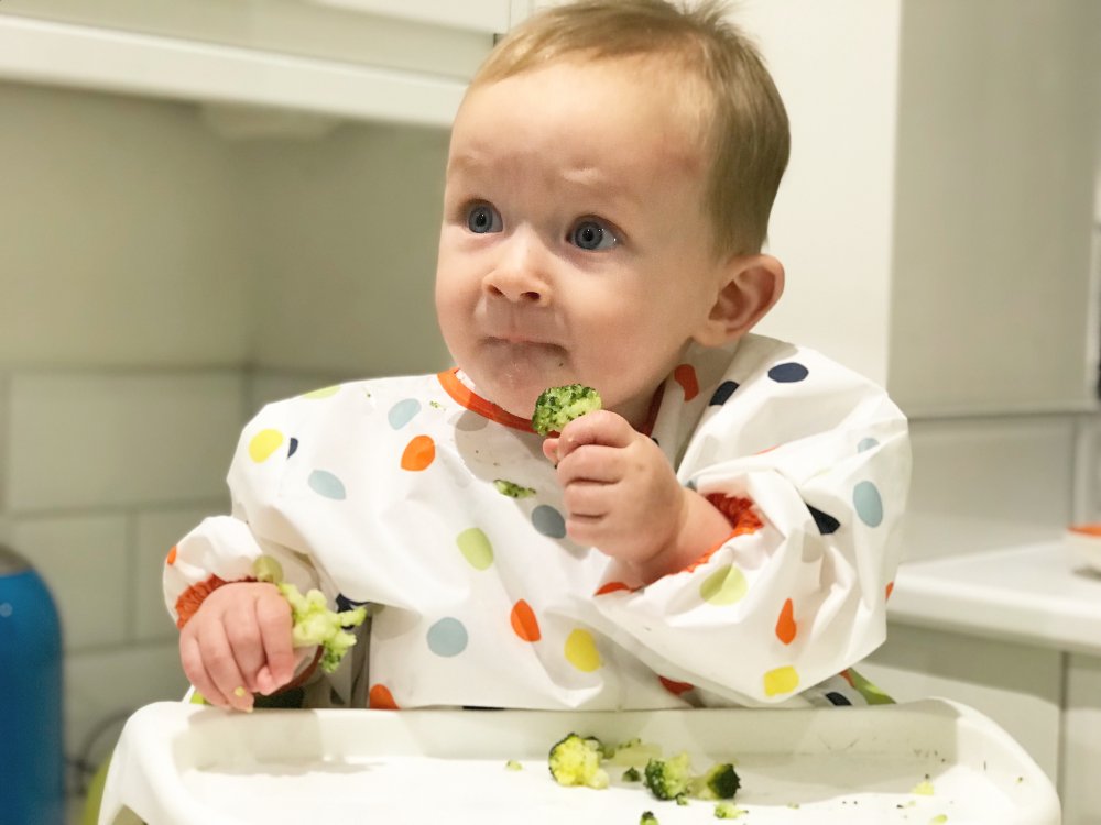 How Do You Know If Your Baby Is Ready For Weaning? DEVON MAMA