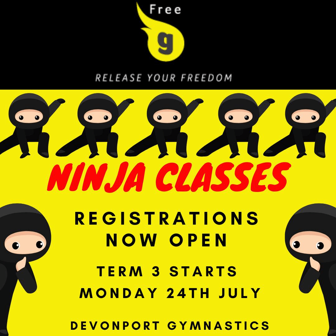 Ninja Classes Devonport Gymnastics Club