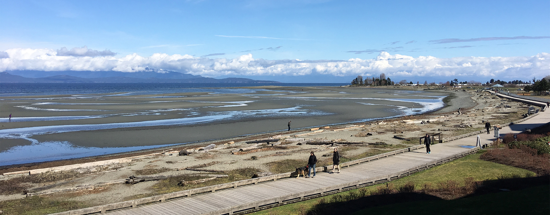 Devon Properties Find Great Apartments for Rent in Parksville, BC