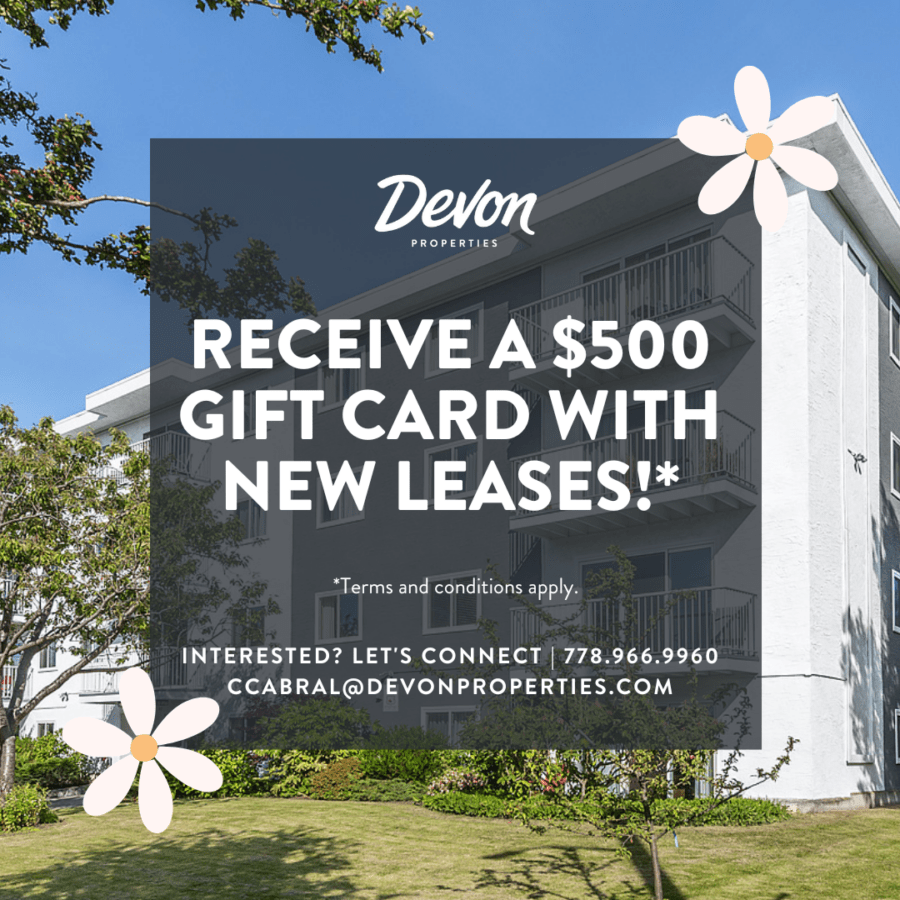 Albion Court Apartments Devon Properties