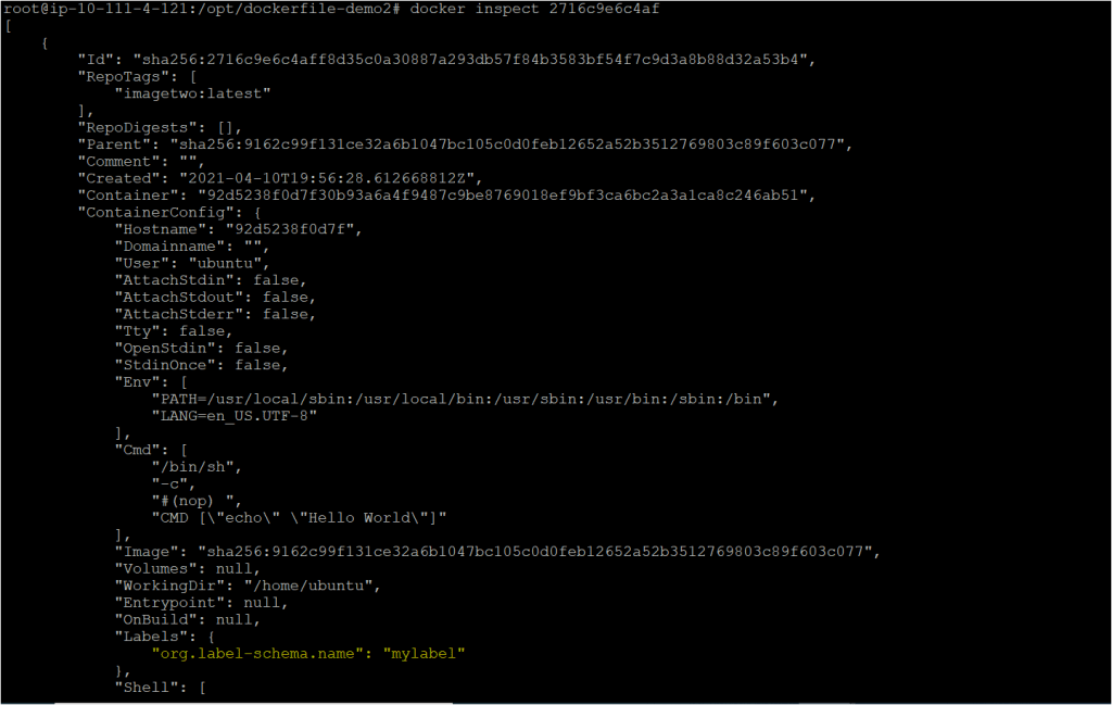 How To Create Environment Variable In Dockerfile Create Info
