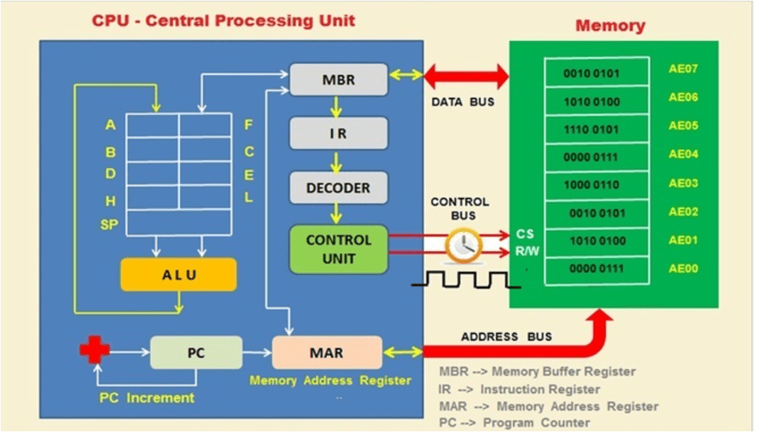 The Ultimate Guide on the Hardware and of the