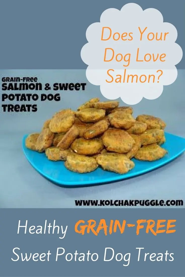 Sweet Potato Treats for Dogs Easy Homemade Treats Your