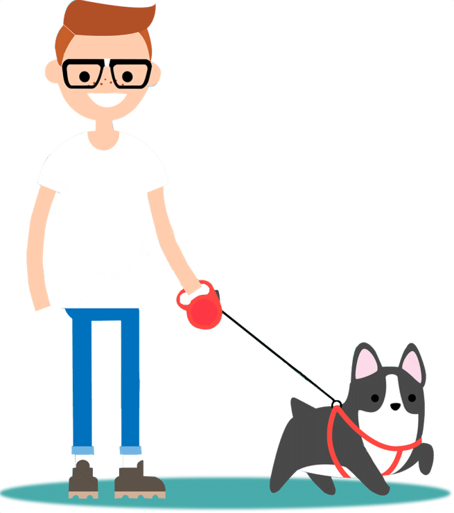 How Long And Often Should I Walk My Dog