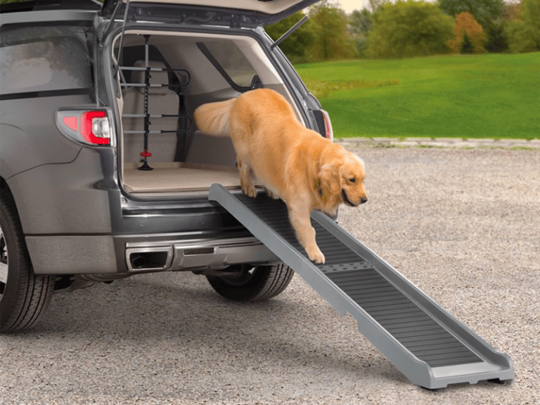 Top 14 Best Dog Ramps and Stairs for Car, SUVs, and Trucks