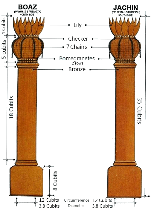 Down to the Last Detail Devotionary