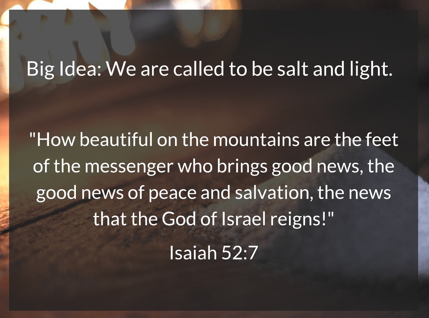 Salt and Light Bible Devotions for Teens