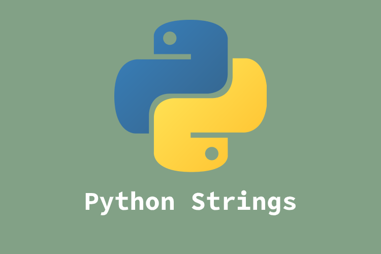 Python Strings Overview of the Basic String Operations