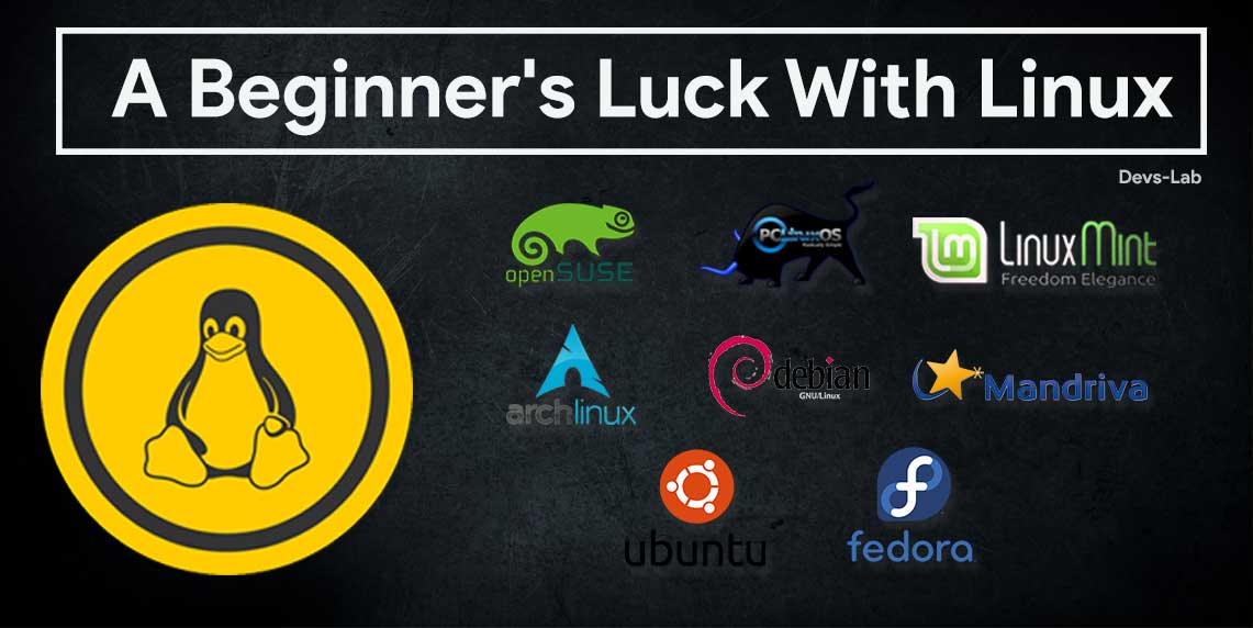 A Beginner's Luck with Linux A journey with Tux DevsJournal