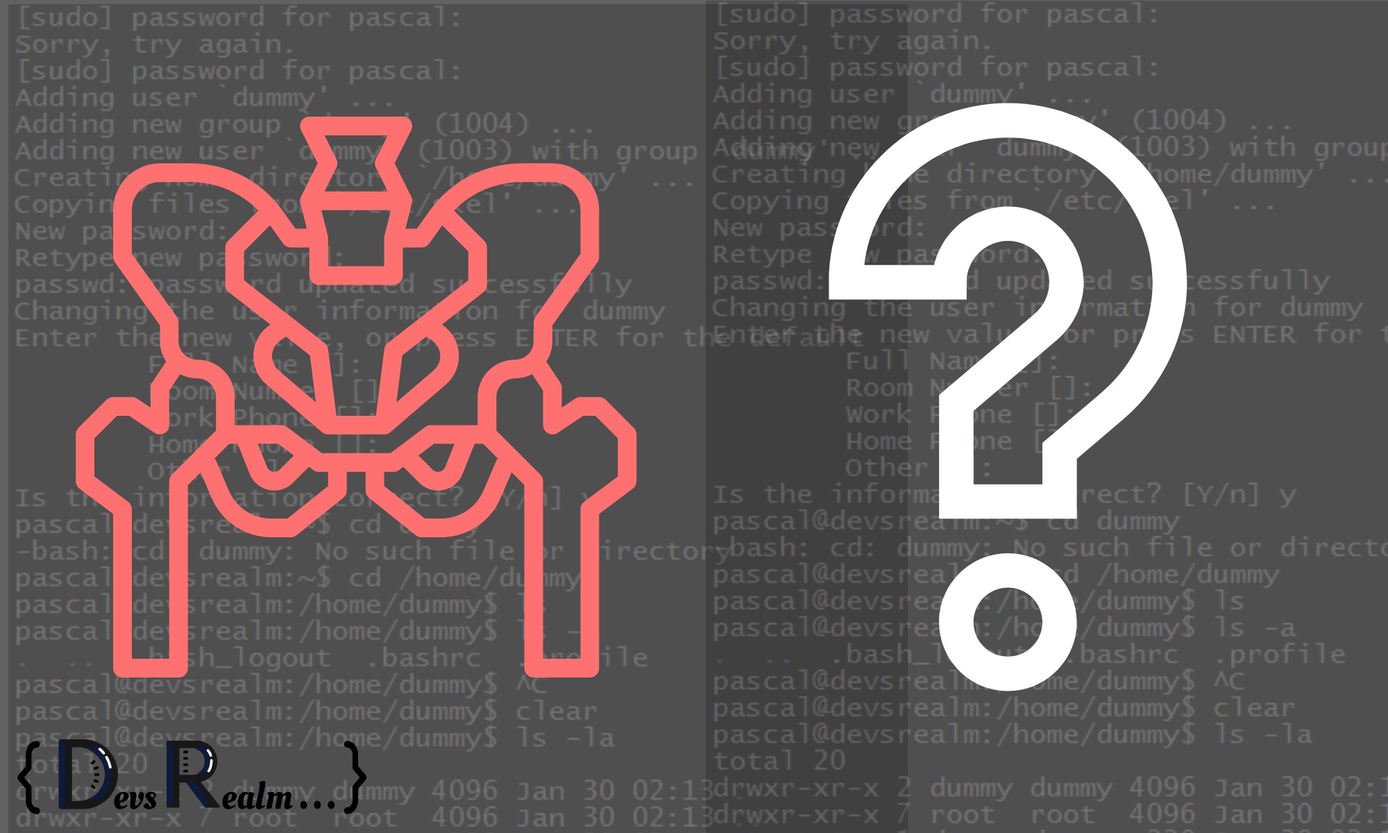 Devsrealm » What is The /etc/skel directory In Linux