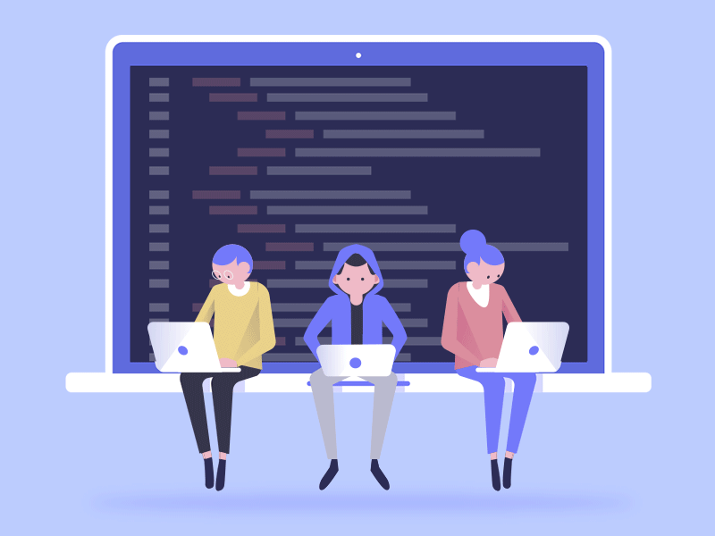 What Are The Roles Of Software Developers In An Agency