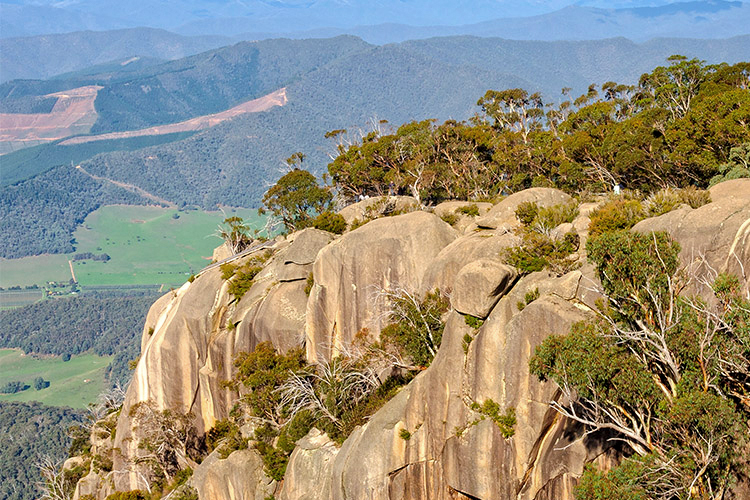 Top five things to do in Hunter Valley De Iuliis Wines