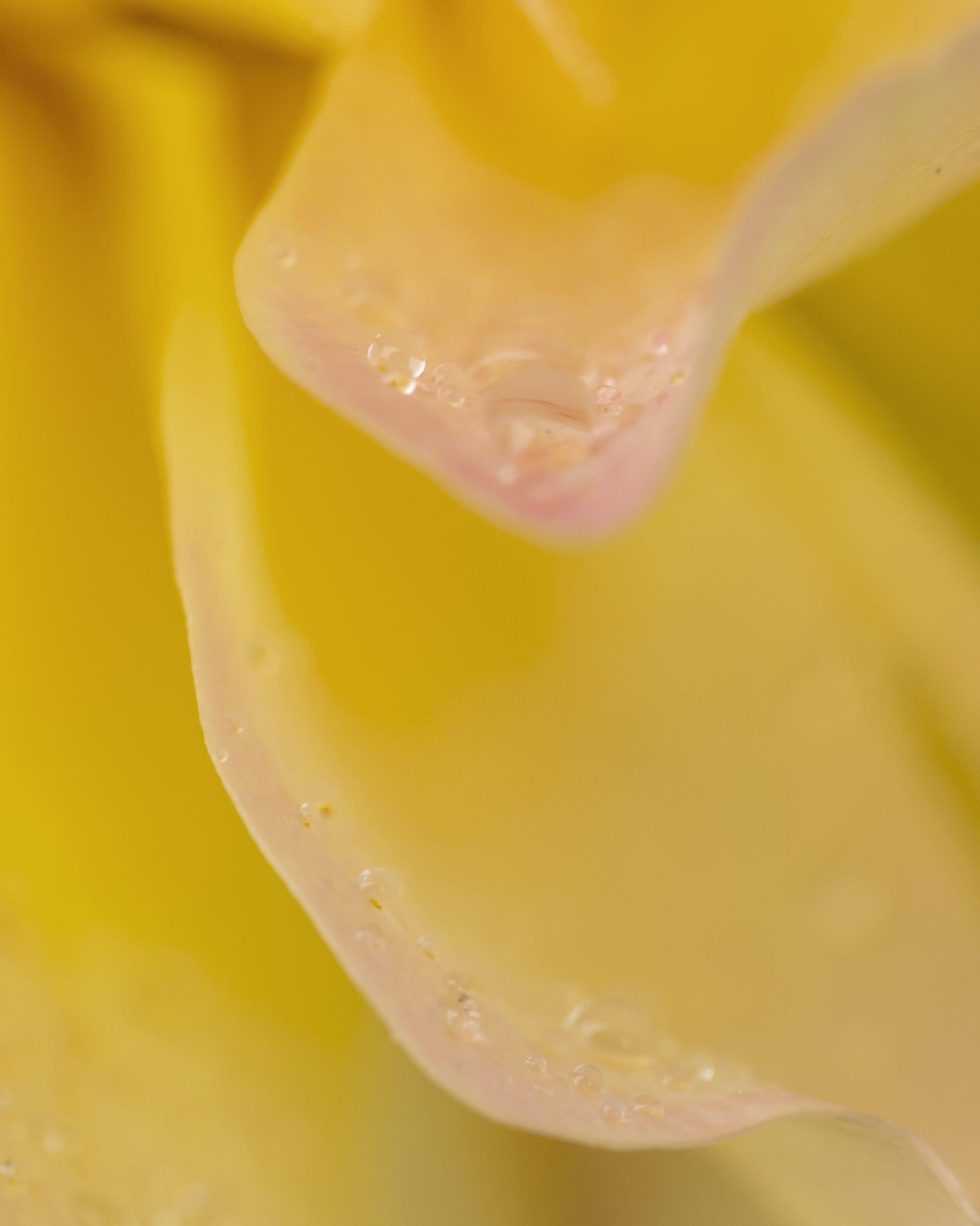 Glenn Robertson (1) Dewitt County Shutterbugs