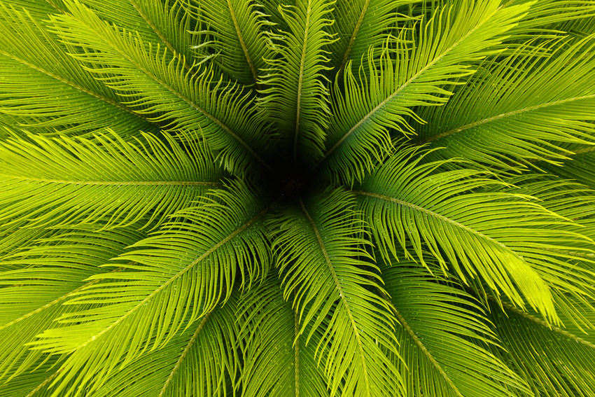 GLENN ROBERTSON (3) Copy Dewitt County Shutterbugs