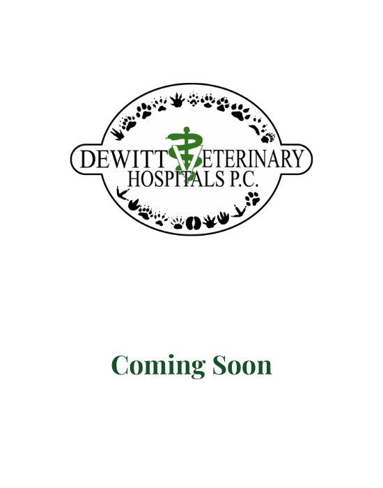 Veterinarian In DeWitt, MI 48820 DeWitt Veterinary Hospitals, P.C.