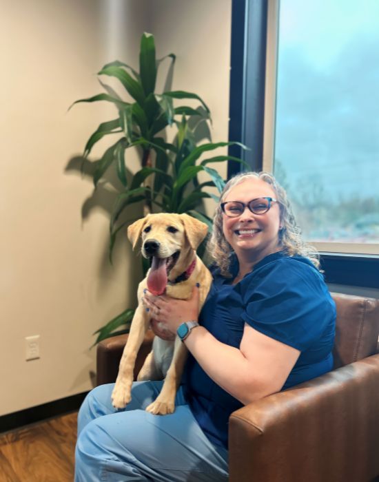 Veterinarian In DeWitt, MI 48820 DeWitt Veterinary Hospitals, P.C.