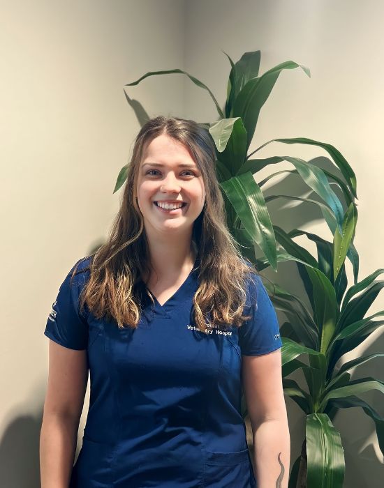 Veterinarian In DeWitt, MI 48820 DeWitt Veterinary Hospitals, P.C.