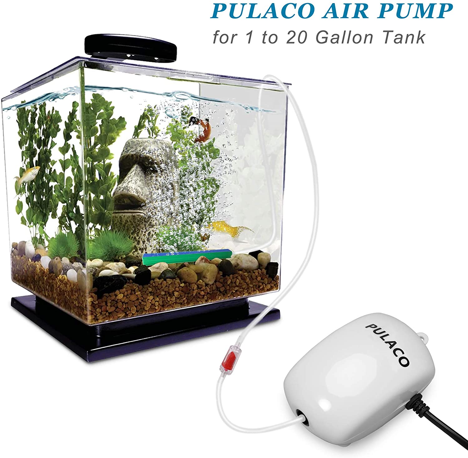 PULACO Fish Tank Air Pump Dexter's World