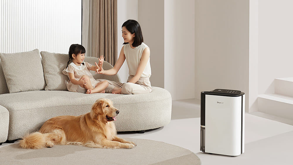 Is Dehumidifier Water Safe to Drink? Health Risks Explained