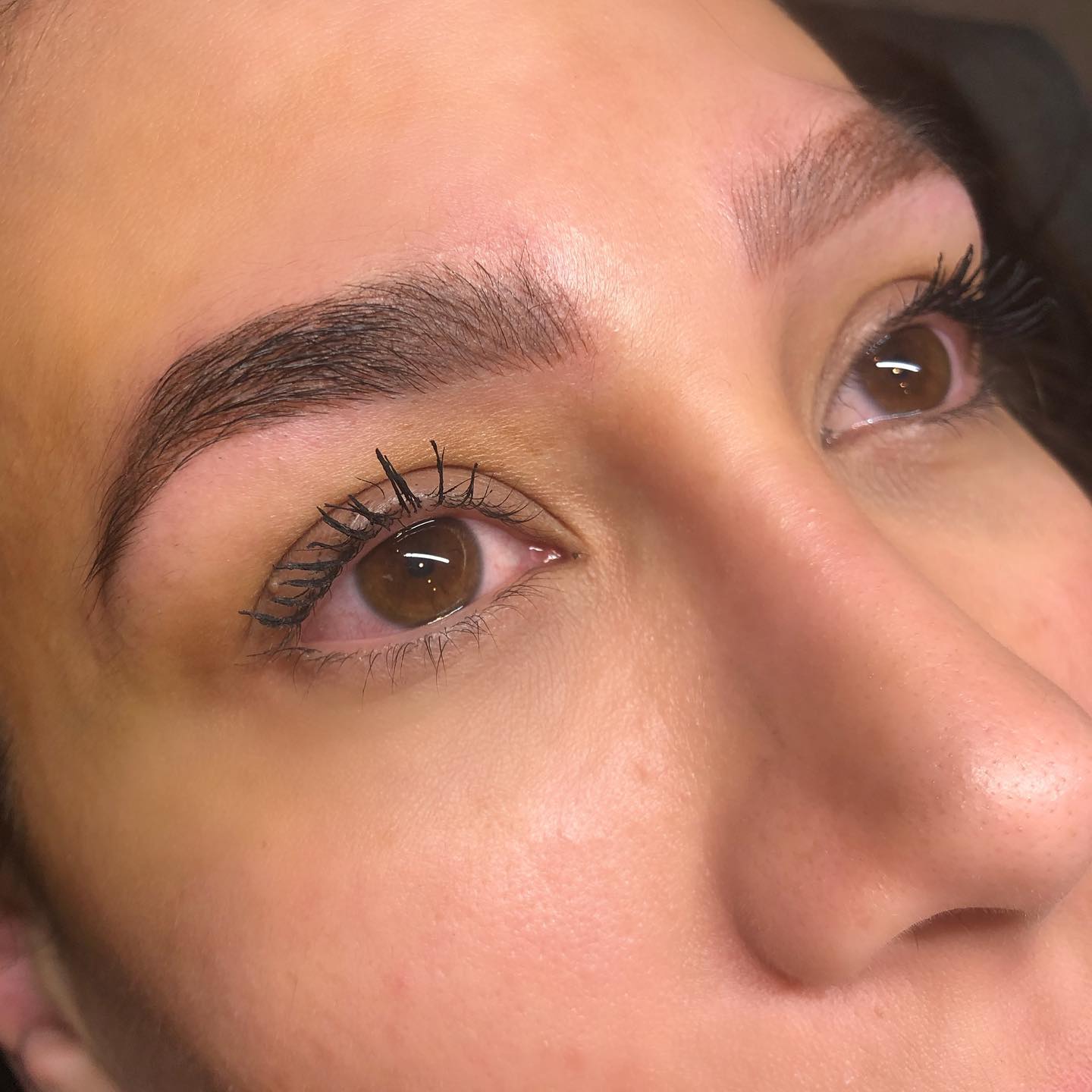 D Eyes Brow Studio Perfect Brow and Beauty Studio in Hamilton, Ontario