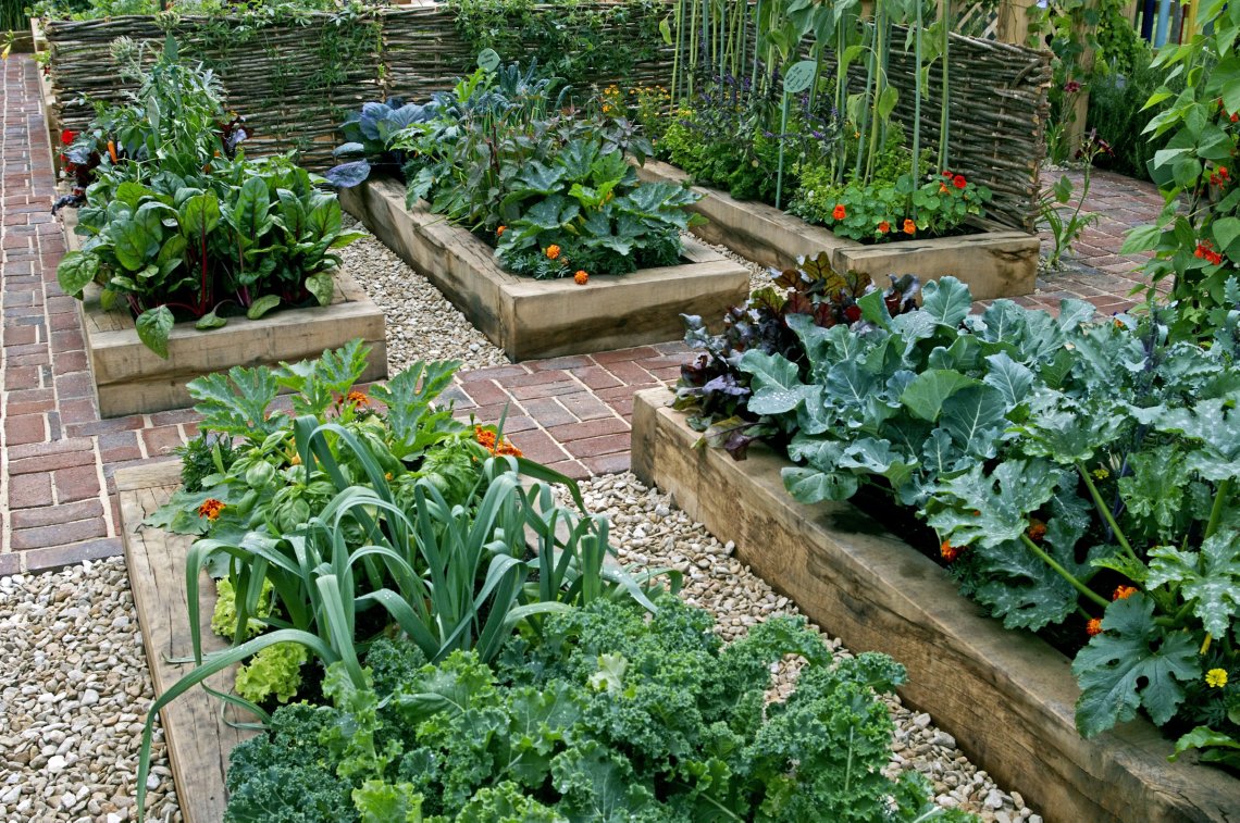 Dezaden : Moestuin Aanleggen