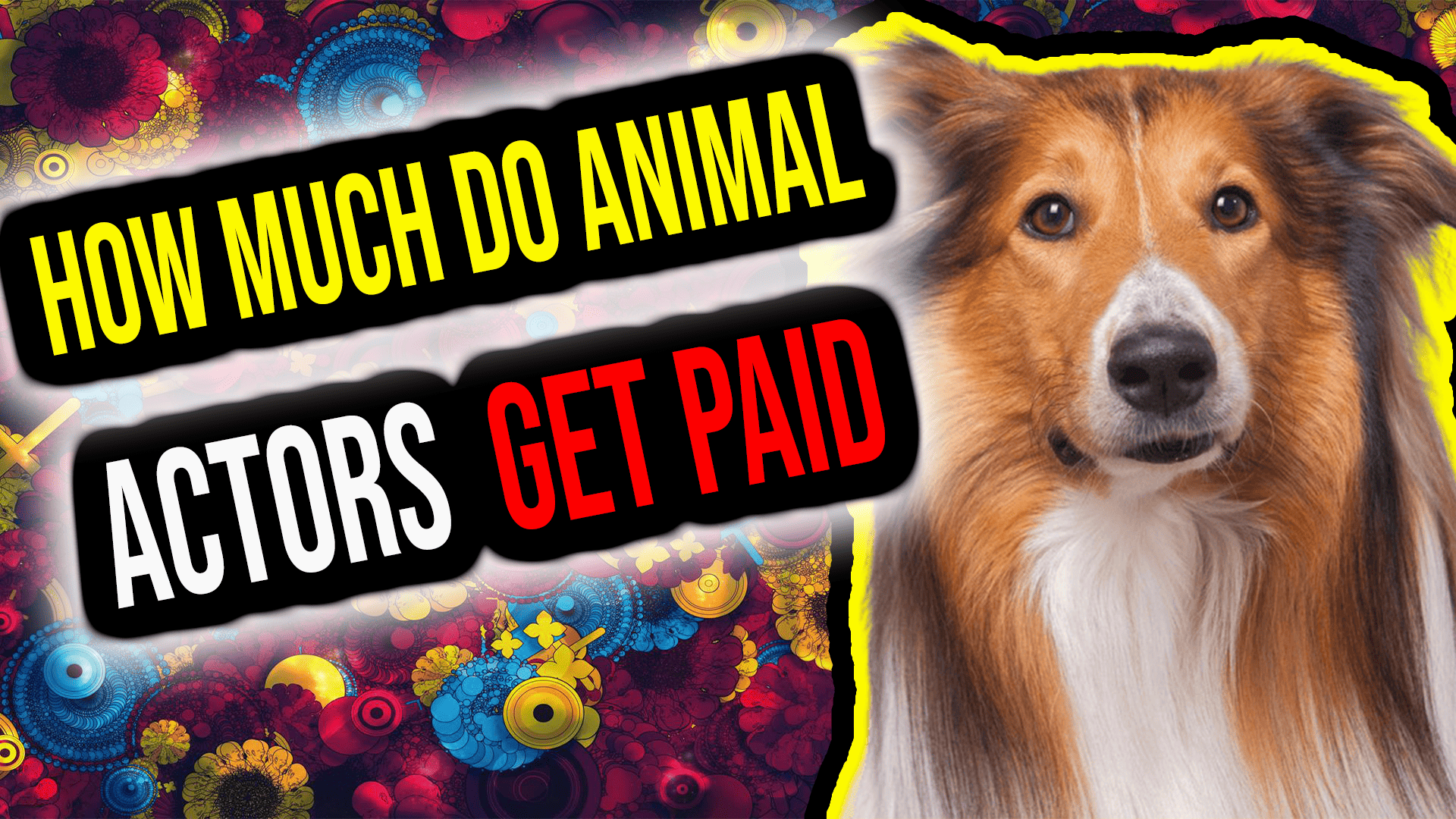 How Much Do Animal Actors Get Paid? Uncovering The Surprising Reality