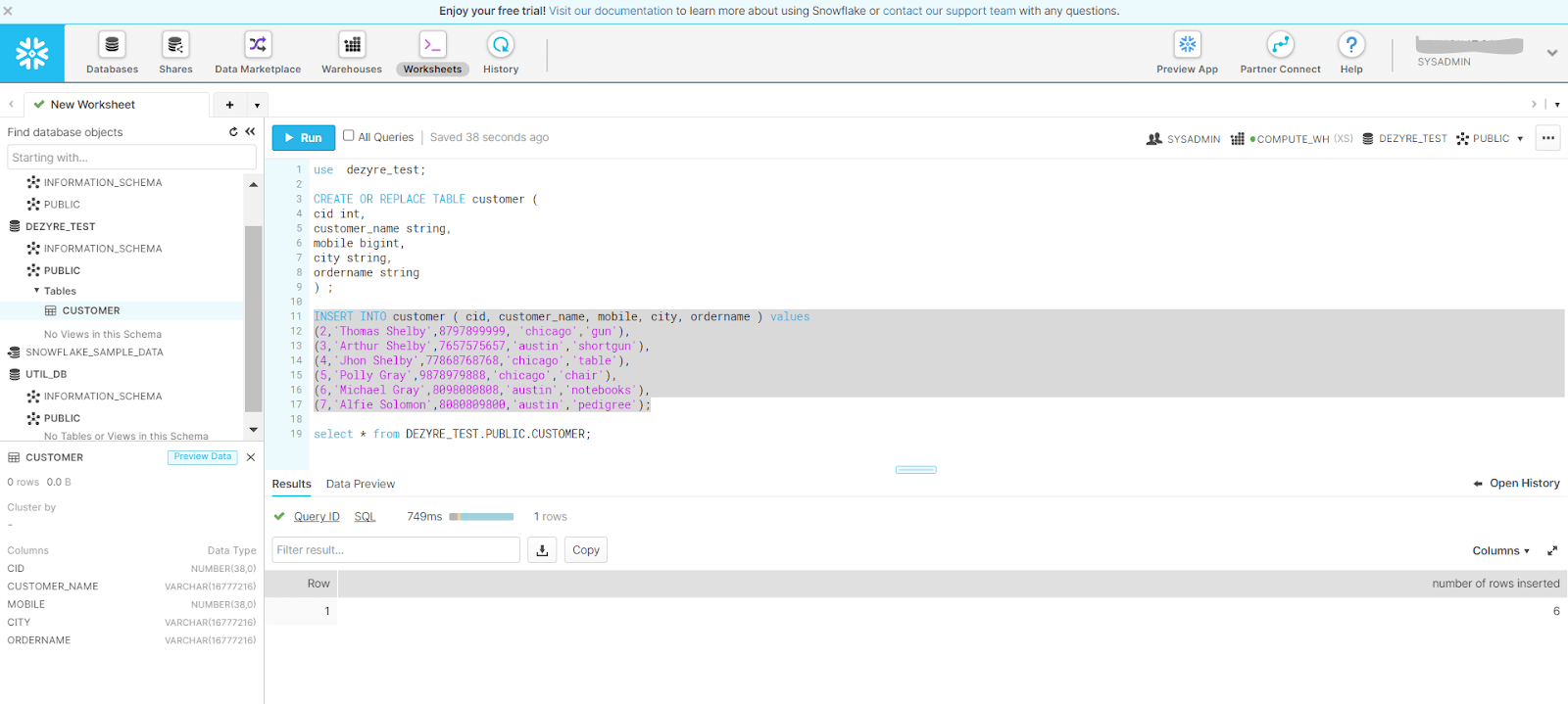 Verify the columns and their data types in the table in Snowflake