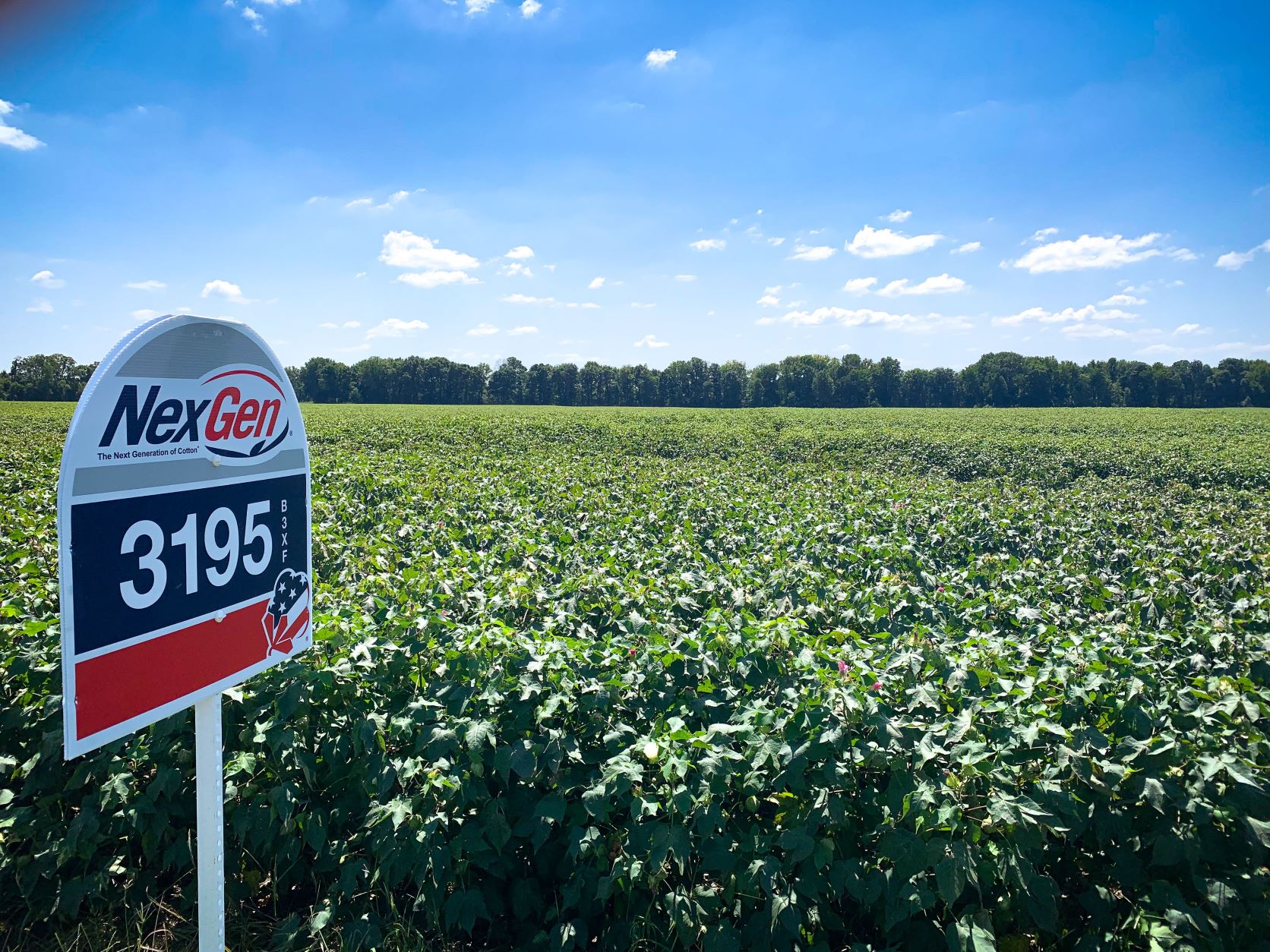 Americot Adds Four to Southern Sales Team Cotton Grower