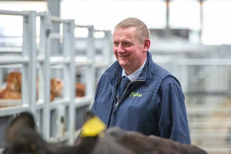 The Darlington Auction Mart Team Darlington Farmers Auction Mart